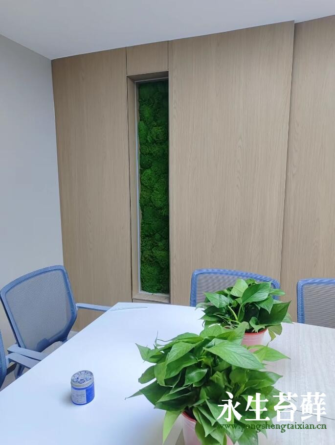 西安高新区办公室永生苔藓景观墙